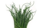 Agretti