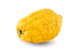 cedro