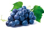 Uva fragola