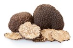 Tartufo