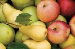 Vegetali autunnali 