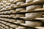 forme di formaggio