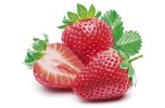 Fragola