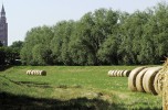  Cremona verso la sostenibilità: territorio, ambiente e mobilità