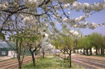 Gasparina: progetto triennale al via