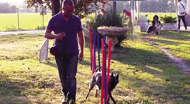 Risolvere i problemi con i cani è possibile