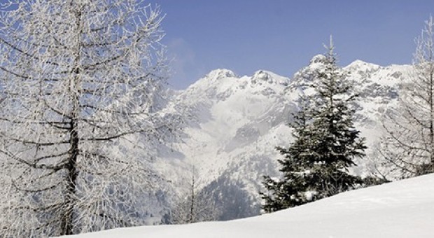 Ciaspolate nell’Alta Valle Brembana. Esperienze per tutti i sensi