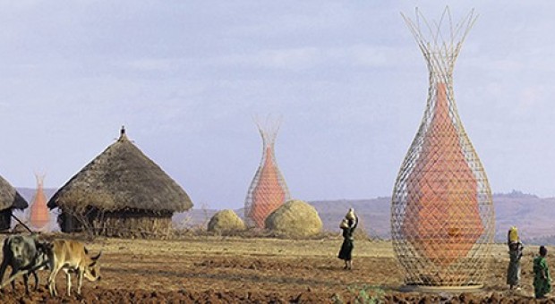 L’albero che produce acqua nel deserto
