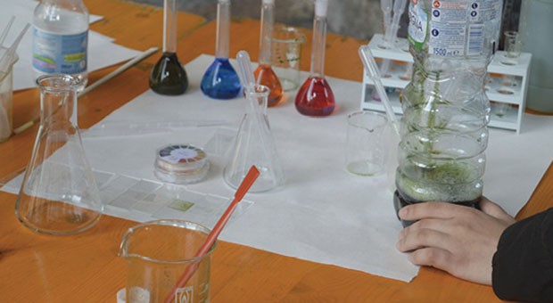 Festival dell'Ambiente