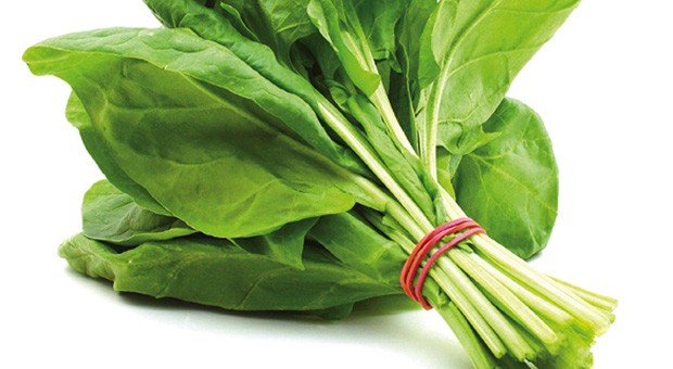 Spinaci