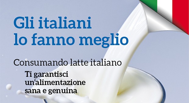 Mondo latte e dintorni