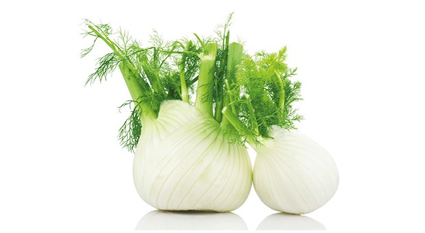 Finocchio 