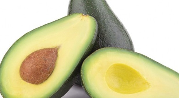 Avocado 