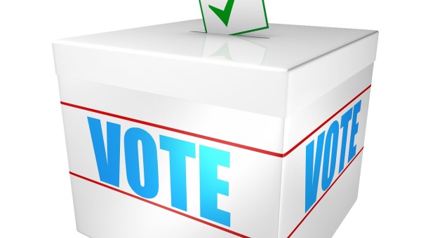 Elezioni 2019