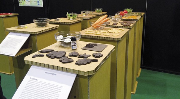 bioenergy