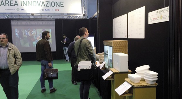 bioenergy cremona