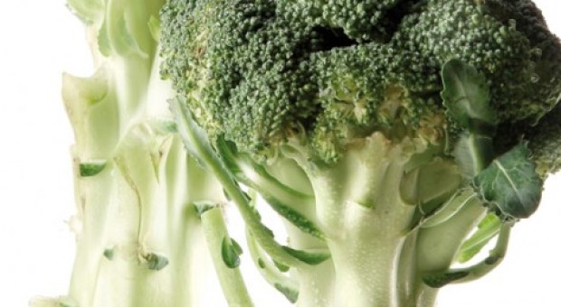 Il broccolo