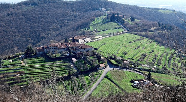 Quale futuro attende  il Parco delle Colline?