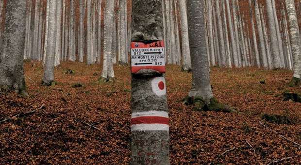 Cansiglio, Veneto © Sara Furlanetto