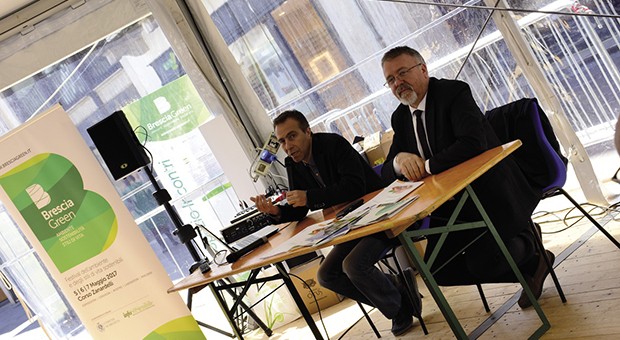 Brescia Green 
