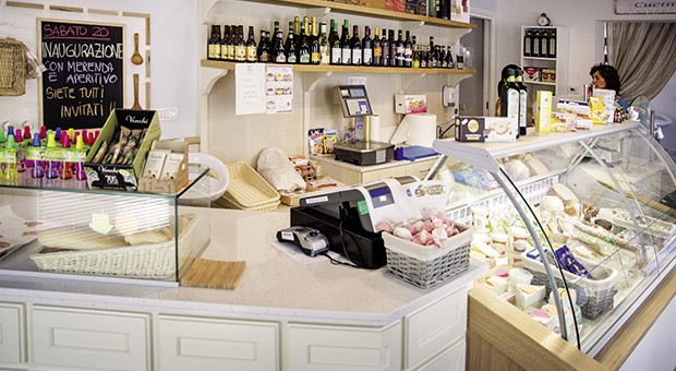 Il Cestino Saporito nato dal germoglio di basilico
