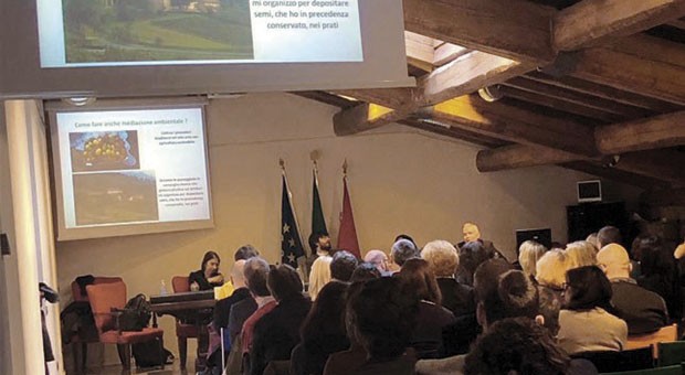Mediazione ambientale