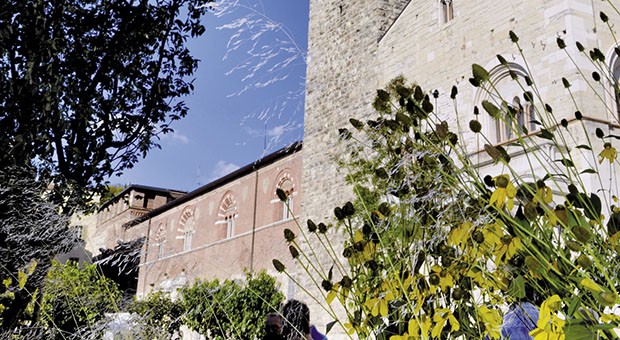 Fiorinsieme 2015