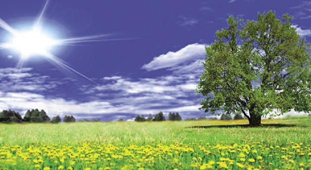   S.E. Servizi Ecologici Srl: salvaguardia ambientale