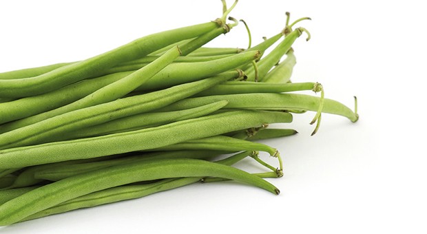 fagiolini