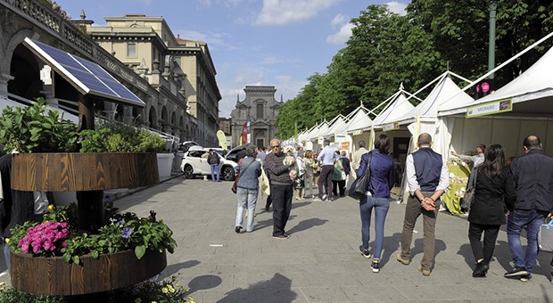 Festival dell'Ambiente