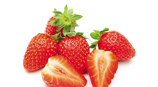Fragola