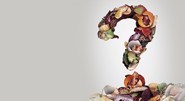 Quando il cibo è di troppo…
