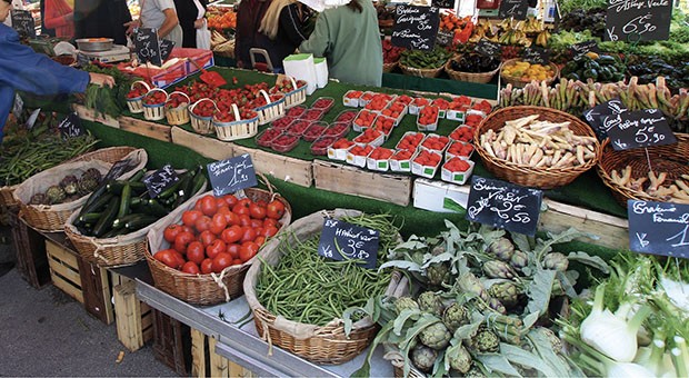 Agricoltura e Diritto al Cibo