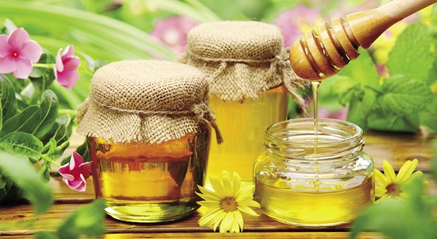 Miele d’acacia, l’etichetta è servita