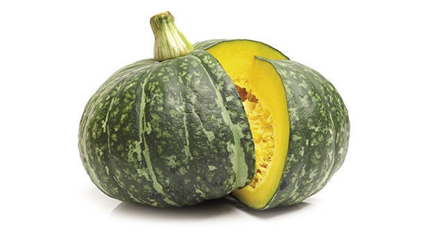 Zucca