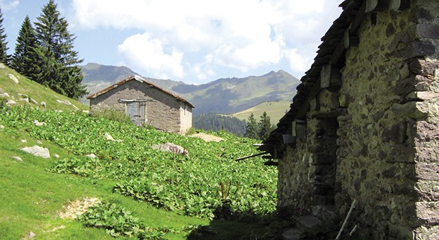 Alpeggio Gambetta e TheClew. Innovare per trasformarsi