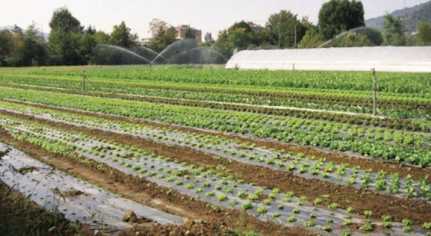 Riscatto attraverso green economy
