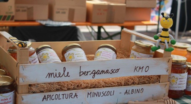 Cibovicino