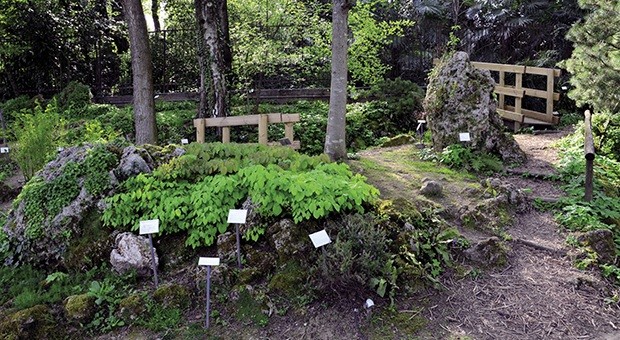 L'Orto Botanico riapre le porte alla primavera