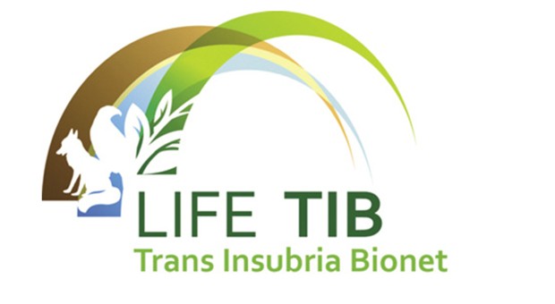 Logo Life Tib