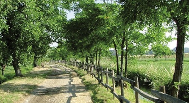 mappatura del verde in lombardia