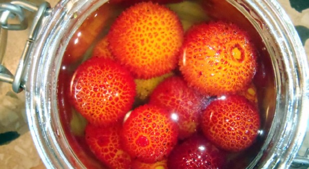 marmellata corbezzoli