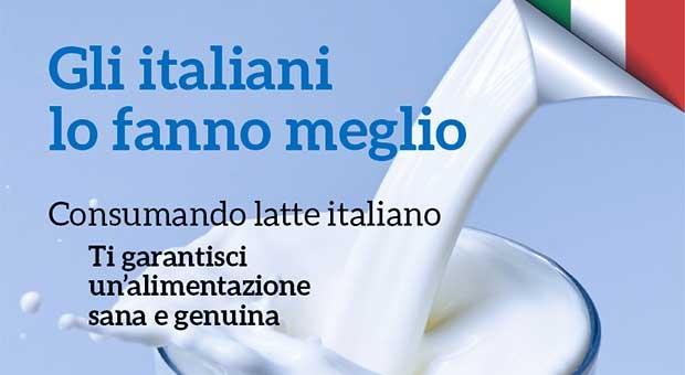 Mondo latte e dintorni