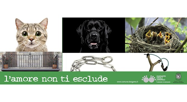 Il Comune di Bergamo in prima linea con una campagna di sensibilizzazione contro il maltrattamento