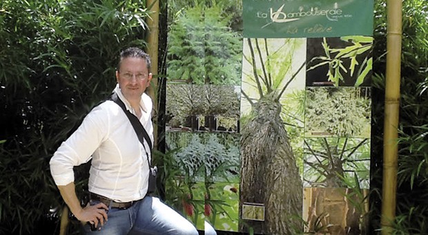 L’idea imprenditoriale ed ecologica di Bambufacile
