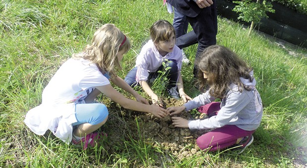 boschi in città