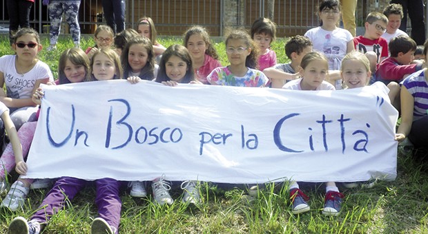 un bosco per la città