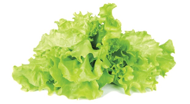 Scarola