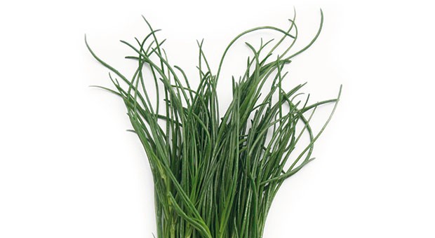 Agretti