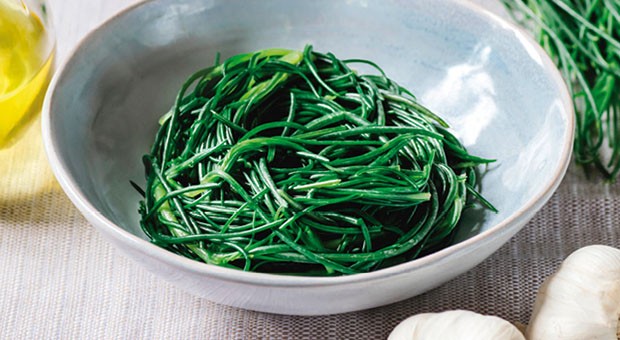 Pesto di agretti crudi